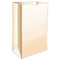 R3 Chicago 50CT Paper Lunch Bag 80055